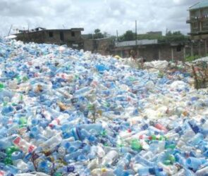 Plastic bottles awaiting recycling