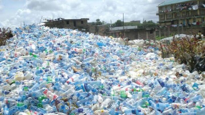 Plastic bottles awaiting recycling