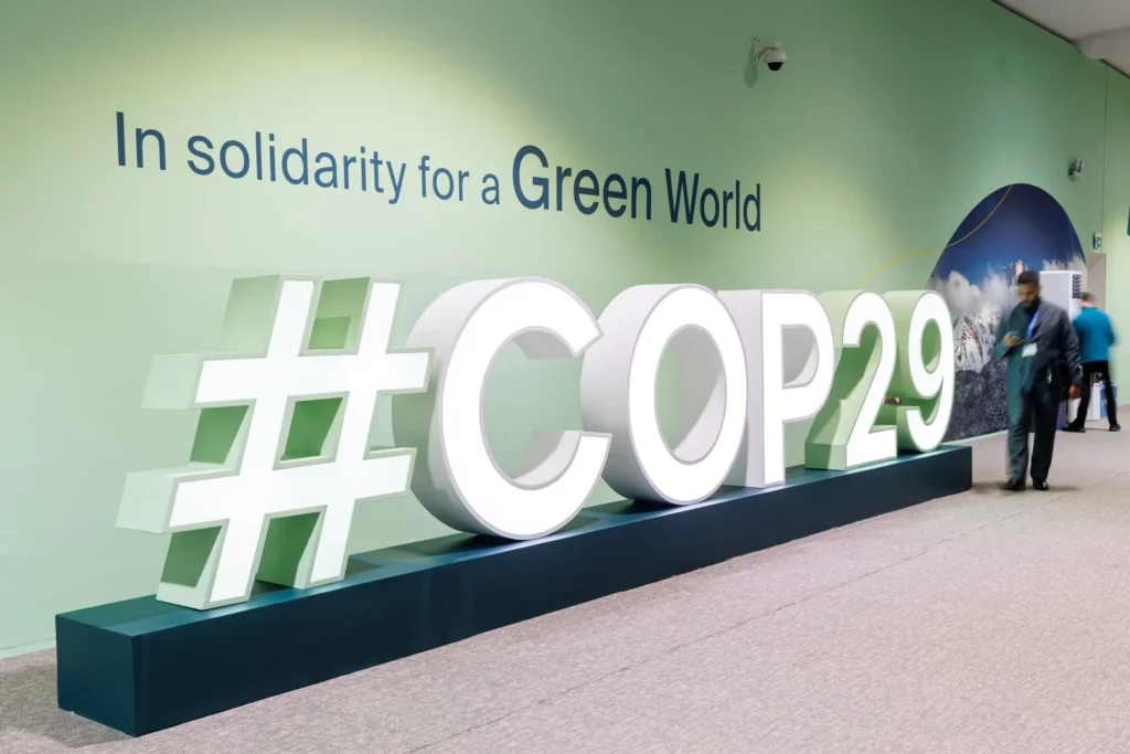 COP29