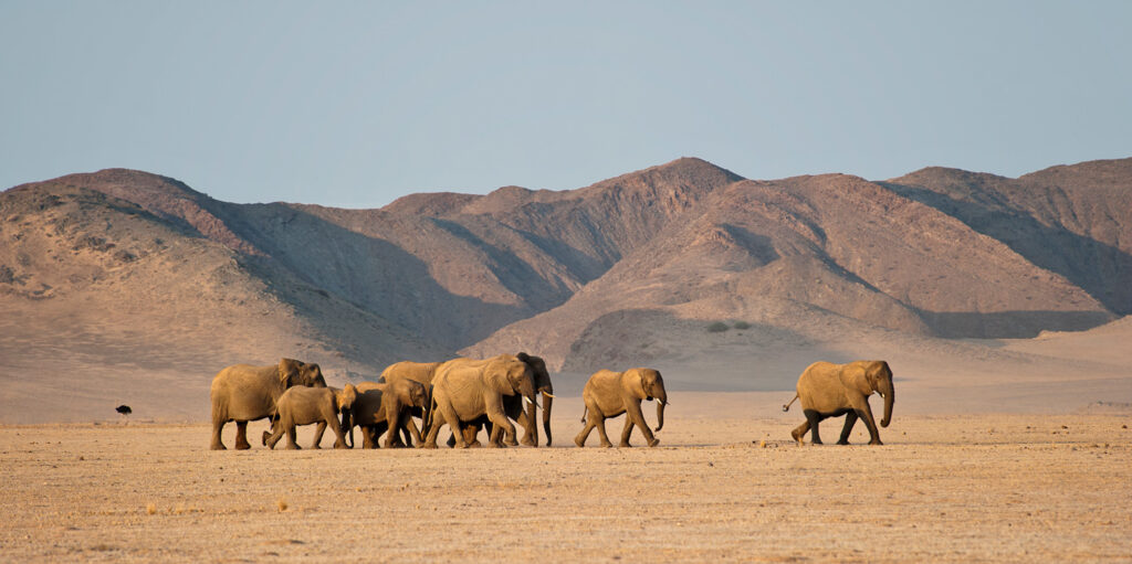 Southern Africa region