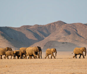 Southern Africa region