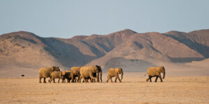 Southern Africa region