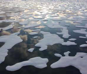 Arctic sea ice