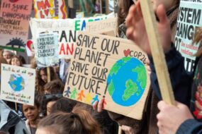 climate news