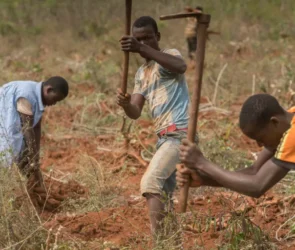 Young farmers also facing effects of climate change