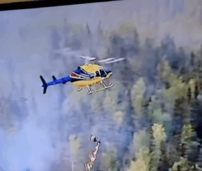 A screenshot of the Canadian wildfires
