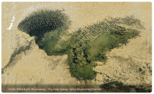 NASA imagery of Lake Chad